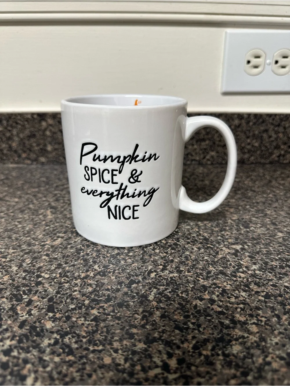 Pumpkin Spice Coffee Mug 20oz